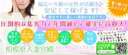 町田・相模原 人妻デリヘル 相模原人妻宮殿