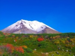 旭川市 デリバリーヘルス 旭川デリヘル　ナチュラル