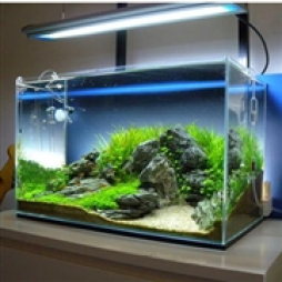 那覇市 アロマ・エステ Lesson.1沖縄校